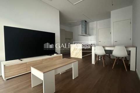 1 chambre apartment à louer à Principado De Andorra (Ninguna Poblacion Tiene C.P.), Lleida, Catalonia, Spain № 7701 - photo 7