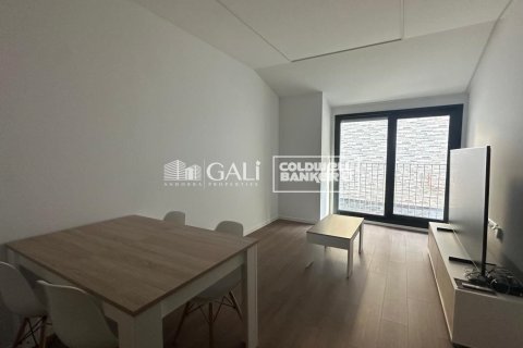 1 bedroom apartment for rent in Principado De Andorra (Ninguna Poblacion Tiene C.P.), Lleida, Catalonia, Spain № 7701