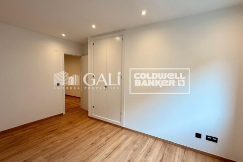 Apartamento de 4 dormitorios en alquiler en Principado De Andorra (Ninguna Poblacion Tiene C.P.), Lérida, Cataluña, Spain № 7698 - foto 3