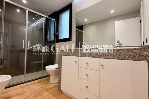 Apartamento de 4 dormitorios en alquiler en Principado De Andorra (Ninguna Poblacion Tiene C.P.), Lérida, Cataluña, Spain № 7698 - foto 26