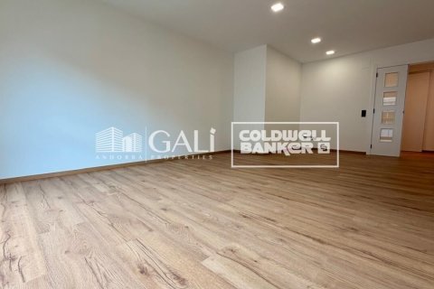 Apartamento de 4 dormitorios en alquiler en Principado De Andorra (Ninguna Poblacion Tiene C.P.), Lérida, Cataluña, Spain № 7698 - foto 12