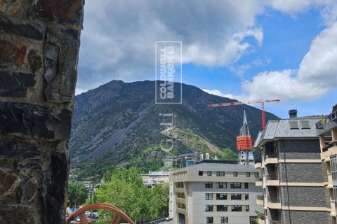 Apartamento de 4 dormitorios en alquiler en Principado De Andorra (Ninguna Poblacion Tiene C.P.), Lérida, Cataluña, Spain № 7698 - foto 17