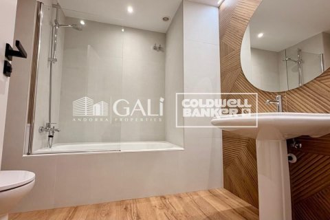Apartamento de 4 dormitorios en alquiler en Principado De Andorra (Ninguna Poblacion Tiene C.P.), Lérida, Cataluña, Spain № 7698 - foto 23