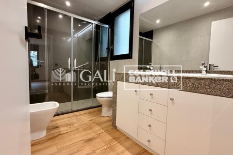 Apartamento de 4 dormitorios en alquiler en Principado De Andorra (Ninguna Poblacion Tiene C.P.), Lérida, Cataluña, Spain № 7698 - foto 25