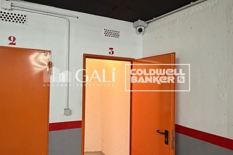 Apartamento de 4 dormitorios en alquiler en Principado De Andorra (Ninguna Poblacion Tiene C.P.), Lérida, Cataluña, Spain № 7698 - foto 16
