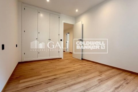 Apartamento de 4 dormitorios en alquiler en Principado De Andorra (Ninguna Poblacion Tiene C.P.), Lérida, Cataluña, Spain № 7698 - foto 4