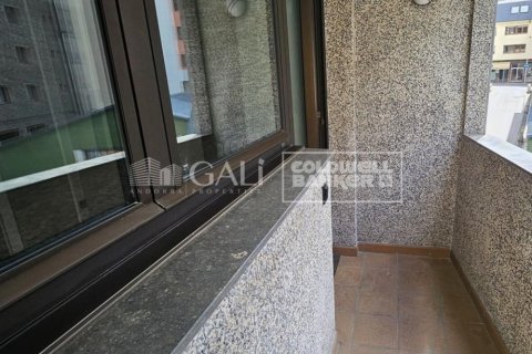 Apartamento de 4 dormitorios en alquiler en Principado De Andorra (Ninguna Poblacion Tiene C.P.), Lérida, Cataluña, Spain № 7698 - foto 20