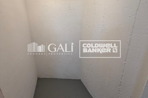 Apartamento de 4 dormitorios en alquiler en Principado De Andorra (Ninguna Poblacion Tiene C.P.), Lérida, Cataluña, Spain № 7698 - foto 15