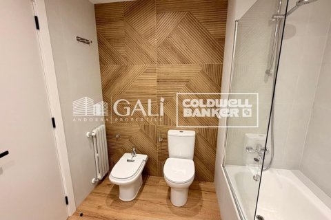 Apartamento de 4 dormitorios en alquiler en Principado De Andorra (Ninguna Poblacion Tiene C.P.), Lérida, Cataluña, Spain № 7698 - foto 22