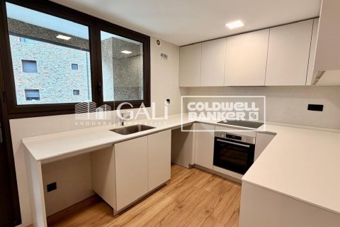 Apartamento de 4 dormitorios en alquiler en Principado De Andorra (Ninguna Poblacion Tiene C.P.), Lérida, Cataluña, Spain № 7698 - foto 9
