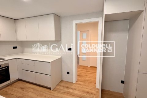 Apartamento de 4 dormitorios en alquiler en Principado De Andorra (Ninguna Poblacion Tiene C.P.), Lérida, Cataluña, Spain № 7698 - foto 8
