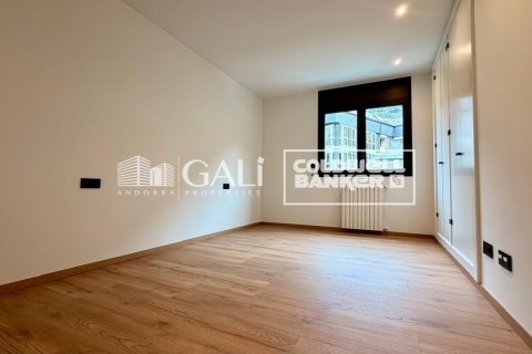 Apartamento de 4 dormitorios en alquiler en Principado De Andorra (Ninguna Poblacion Tiene C.P.), Lérida, Cataluña, Spain № 7698 - foto 6