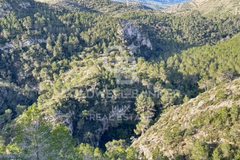 279167 sq.m. land plot for sale in Pratdip, Tarragona, Catalonia, Spain № 5548 - photo 13