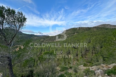 279167 sq.m. land plot for sale in Pratdip, Tarragona, Catalonia, Spain № 5548 - photo 5