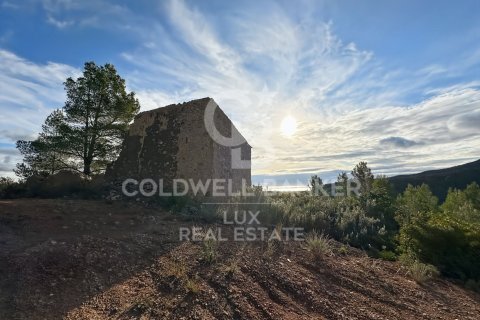 279167 sq.m. land plot for sale in Pratdip, Tarragona, Catalonia, Spain № 5548 - photo 1